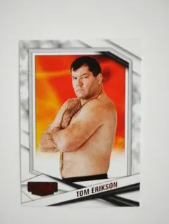 トム・エリクソン COMBAT ANTHOLOGY No.100