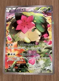 2026年最新】シェイミ 004/036の人気アイテム - メルカリ