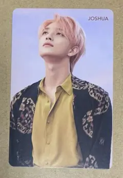 SEVENTEEN セブチ 舞い落ちる花びら トレカ ジョシュア | Mercari