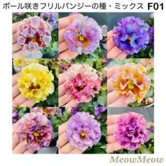 すぎちゃん様 リクエスト 6点 まとめ商品