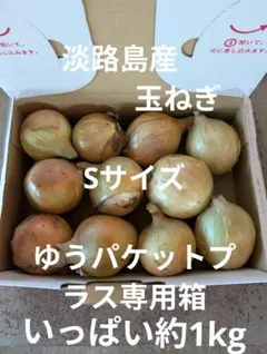 淡路島産　玉ねぎ　ターザン Sサイズ ゆうパケットプラス専用箱いっぱい約1kgのサムネイル