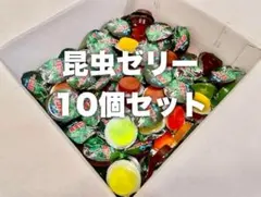 昆虫ゼリー　カブトムシ　クワガタ　未使用　10個セット①