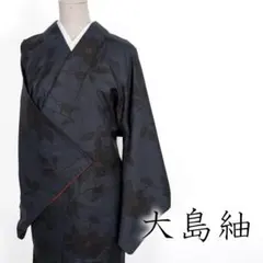 2025年最新】着物 紬の人気アイテム - メルカリ