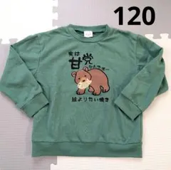 クマと魚のデザイン 緑色トレーナー