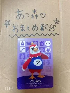 あつ森amiibo⭐︎ぺしみち