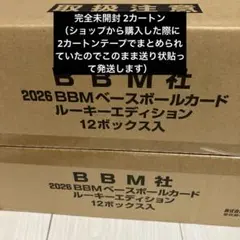 等身大マウスパッド ロエン Pink Ver. ブラウンダスト2 - メルカリ