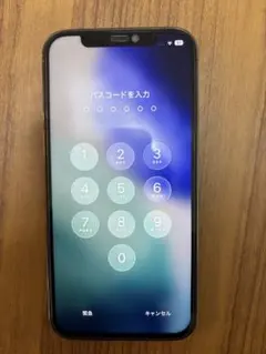 値下げ! iPhone12Pro 256GB (ジャンク品) iPhone - ジャンク 部品取り iPhone12 Pro グラファイト256GB