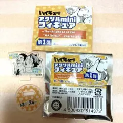 ハイキュー ファンパーク アクリルminiフィギュア 及川徹 岩泉一