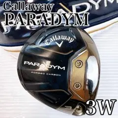 2026年最新】パラダイム 3wの人気アイテム - メルカリ