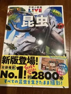 新刊 昆虫 図鑑 DVD付き