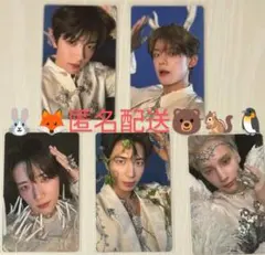 TXT TOGETHER weverseshop特典 トレカ PHOTOCARD
