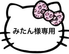 みたん様専用ページ