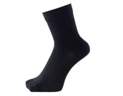 Item thumbnail for item e5a26eae-39ba-4605-8498-3644a0c0b047