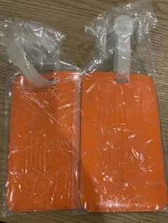 Item thumbnail for item f397f78d-1c34-45fd-9b16-c2483310f82c