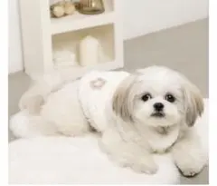 Item thumbnail for item df7e412a-9dfd-405c-b530-f6c4d99dc201