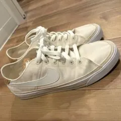 Item thumbnail for item 31bd16db-6c3b-408b-a1a3-d10e8d82b05d