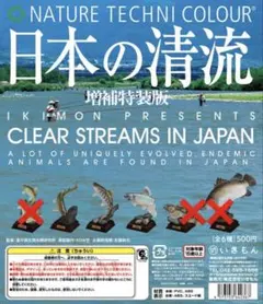 日本の清流　増補特装版　ヤマトイワナ　ヤマメ オイカワ