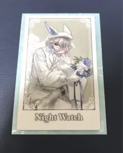 あおい様　専用　(2/13日まで)