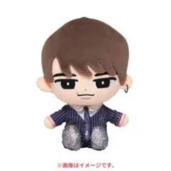 【おまとめ】渡辺翔太ぬい カリスマックス #渡辺翔太担と繋がりたい ご注文はD-cuteネット