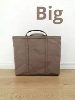 Item thumbnail for item ca9a0d5e-4552-4635-a90d-ae2ccaa88cf3