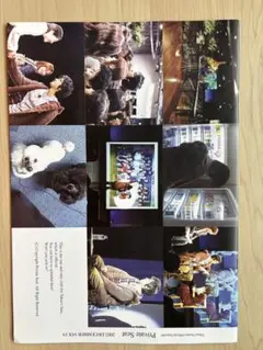 大沢たかお会報誌３１〜４０　１０冊 大沢たかお会報誌21号〜30号10冊