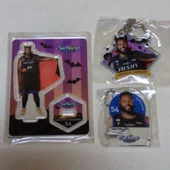 シーホース三河　ダバンテ・ガードナー　アクスタ　アクキー