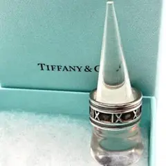 2025年最新】tiffany リング 20号の人気アイテム - メルカリ