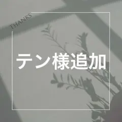 テン様追加