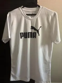 puma トレーニングウェア　スポーツウェア　tシャツ　レディース