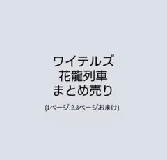 ワイテルズ 花龍列車 まとめ売りのサムネイル