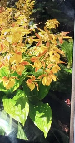 ぽん様 リクエスト 2点 まとめ商品