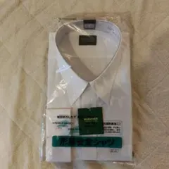 メンズワイシャツ長袖 4l