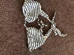 ストライプ柄セパレート水着　L