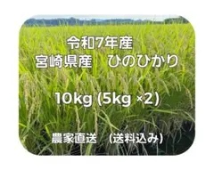 ■令和7年　コシヒカリ 白米 15キロ　標準米 無農薬　晴れの国岡山　天日干し □令和7年 コシヒカリ 白米 15キロ 標準米 無農薬 晴れの国岡山 天