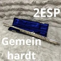 2026年最新】Gemeinhardtの人気アイテム - メルカリ