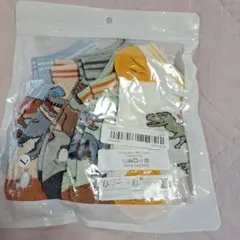 恐竜デザイン キッズ靴下 5足セット L (18cm~20cm)