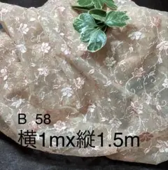 B 58 チュールレース