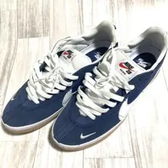 NIKE SB／ナイキエスビー　BRSB スニーカー