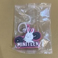seventeen miniteen スンチョル　まとめ購入◎