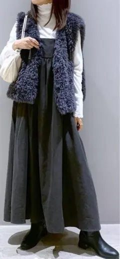 LEPSIM ファーベスト