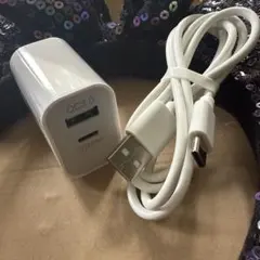 20W QC3.0 USB-C充電器セット