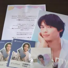 anummyオリジナル松村北斗ヘアクリップ　パンフレット他 anummy 松村北斗 ヘアクリップ - メルカリ