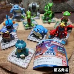 激レア】ポケットモンスター フルカラーコレクション/フルカラー
