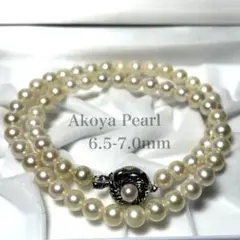 Item thumbnail for item dd773cab-6bcb-4ec7-bc2d-bf544cd894fe