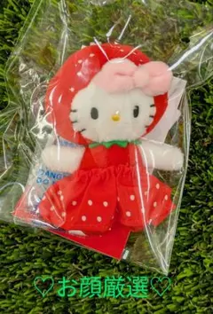 ハローキティ イチゴ　ネット完売品　Me%　LOWRYSFARM