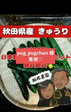 pug_pugchan 様 専用(^^)のサムネイル