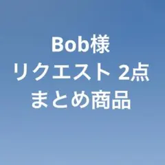 Bob様 リクエスト 2点 まとめ商品