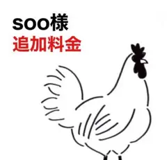 soo様専用 / 追加料金