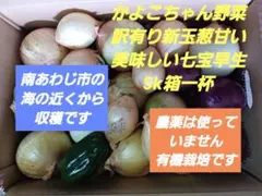 かよこちゃん野菜　安心して食べれる訳有り新玉ねぎ甘くて美味しい七宝早生5k箱一杯のサムネイル