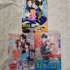 冷徹警視は一途な溺愛の手をゆるめない～エリート警察官僚の初恋は極秘でお願いしま…